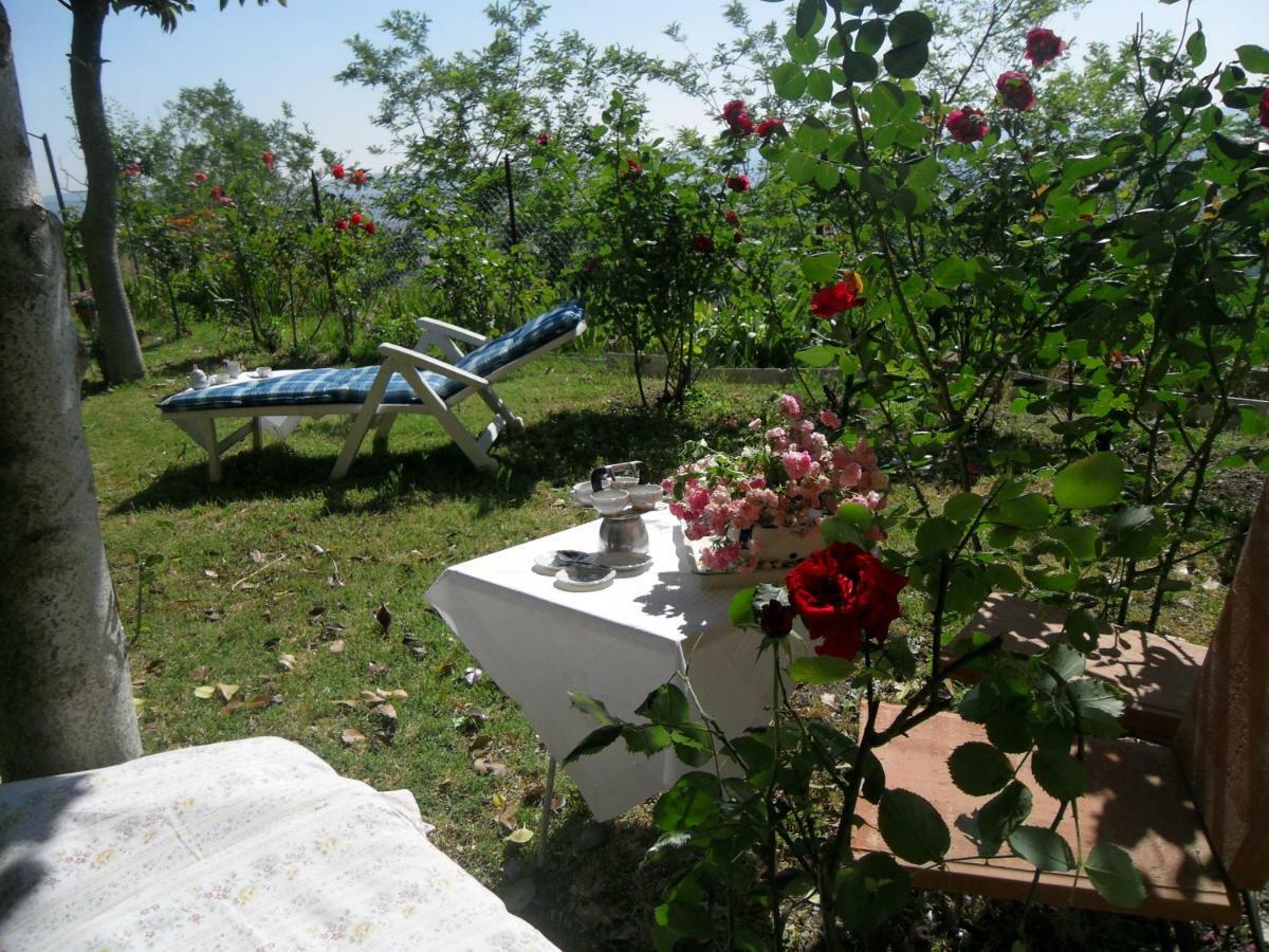 House With Stunning Views Villa Chiusdino Luaran gambar
