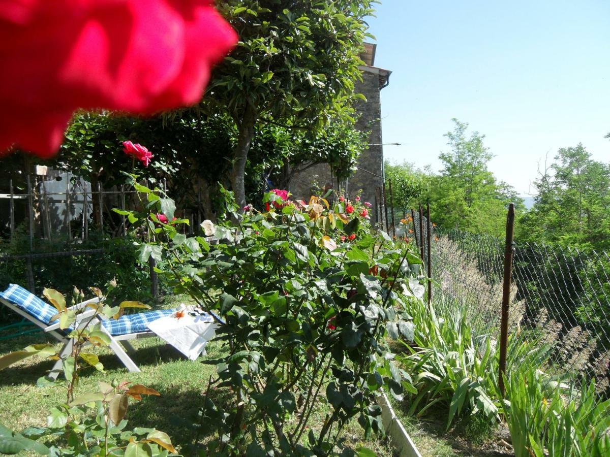 House With Stunning Views Villa Chiusdino Luaran gambar