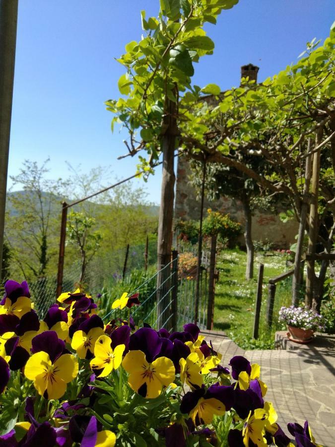 House With Stunning Views Villa Chiusdino Luaran gambar