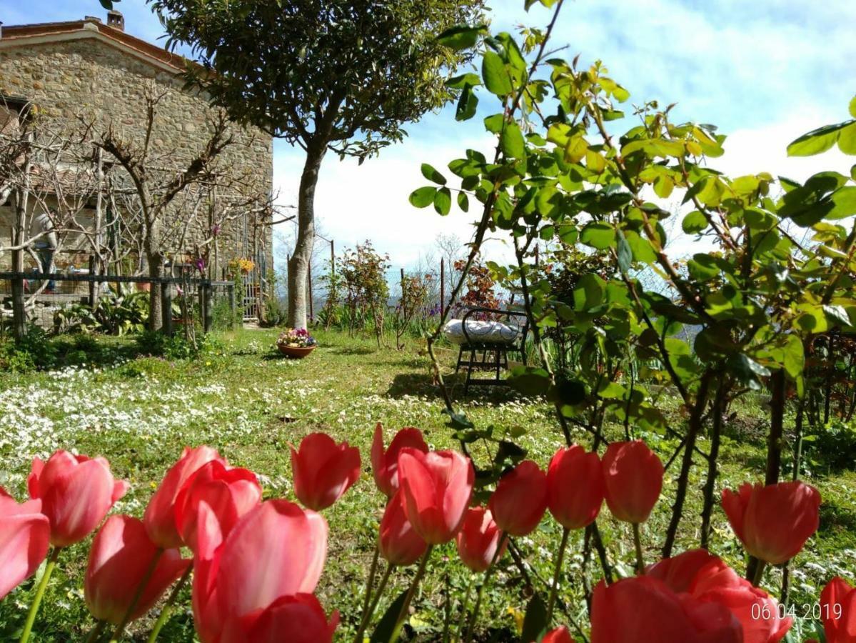 House With Stunning Views Villa Chiusdino Luaran gambar
